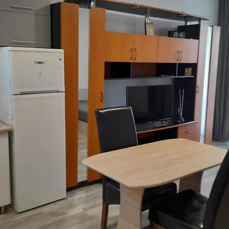 Mihai Studio - Mamaia Nord 公寓